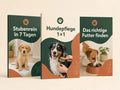 E-Book: Stubenrein in 7 Tagen